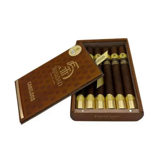 [P-1542] Trinidad Cabildos LE 2024 (12)